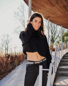 Dixie D'amelio tik tok